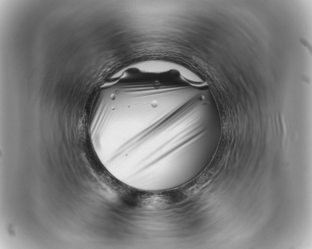 X0000094930460200712201056