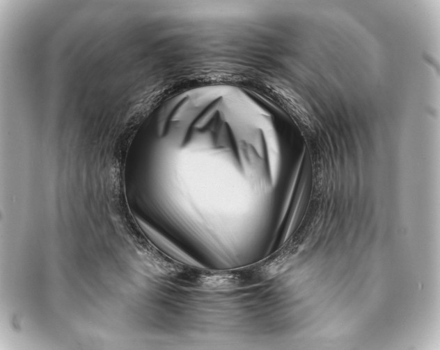 X0000094930461200712201056