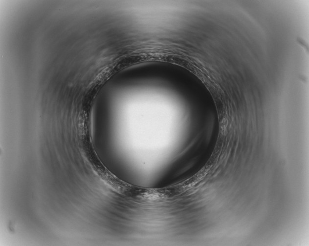 X0000094930464200712201056