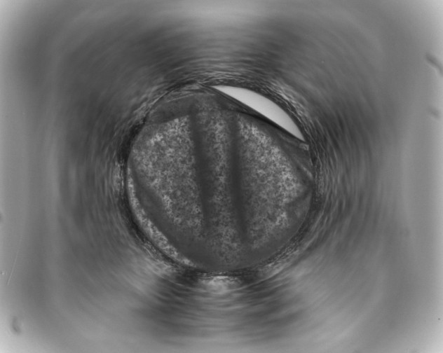 X0000094930467200712201056