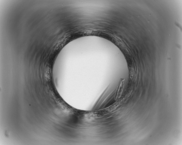X0000094930470200712201056