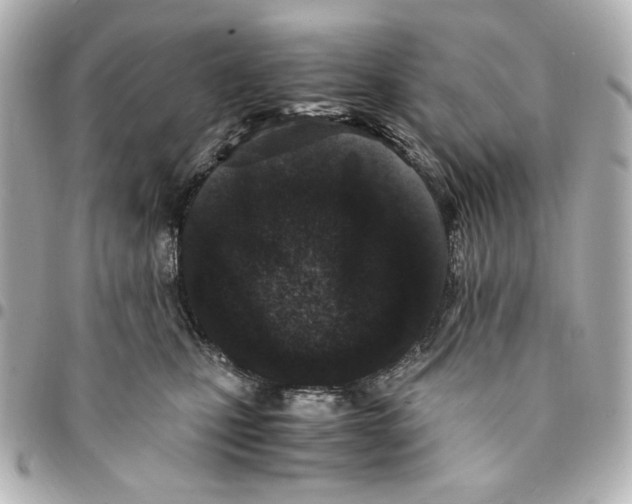X0000094930471200712201057