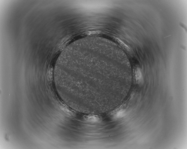 X0000094930475200712201057