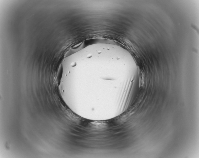 X0000094930477200712201057