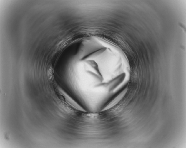 X0000094930478200712201057