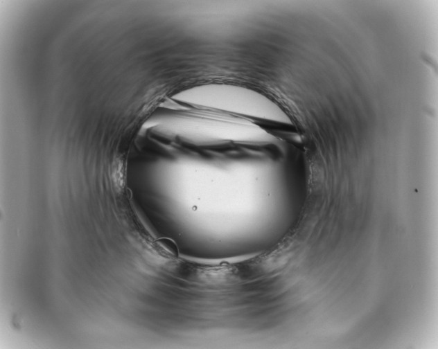 X0000094930479200712201057