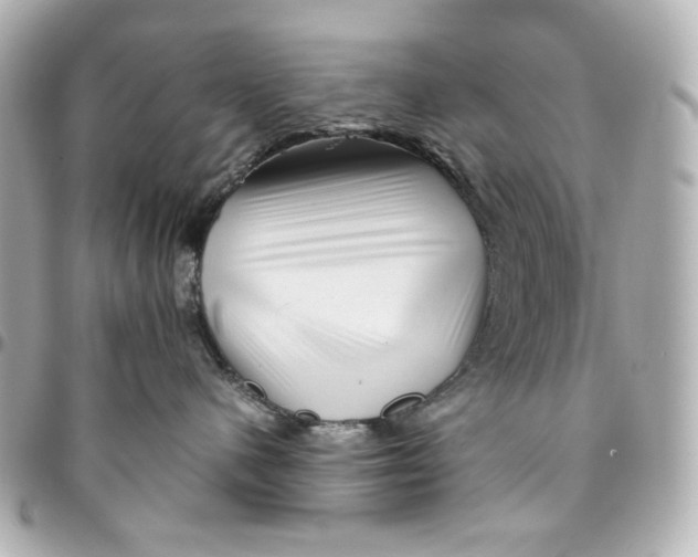 X0000094930480200712201057