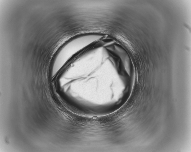 X0000094930483200712201056