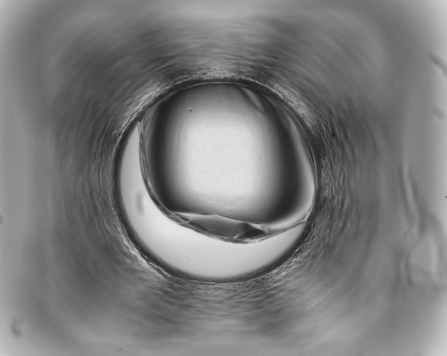 X0000094930485200712201056
