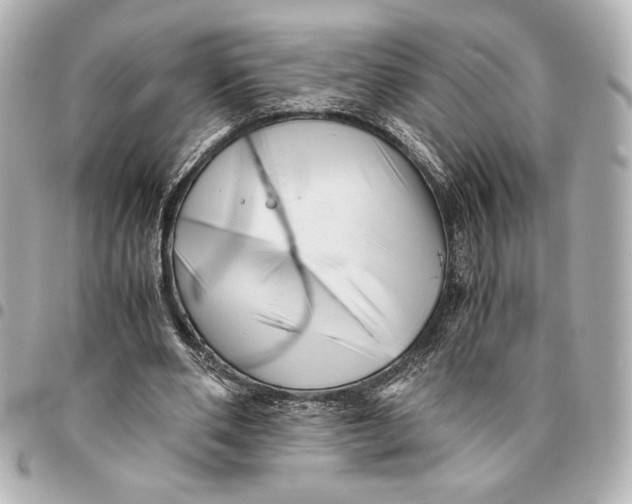X0000094930486200712201056