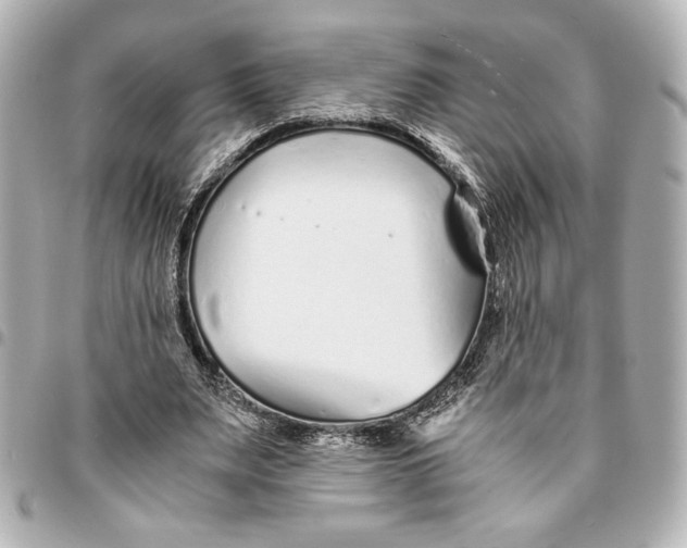 X0000094930487200712201056