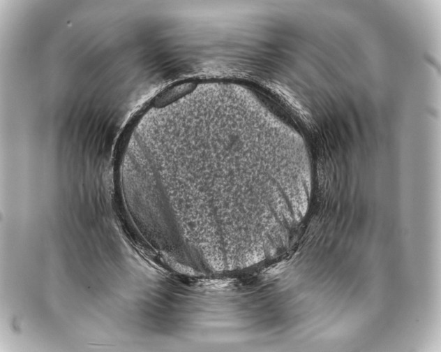 X0000094930488200712201056