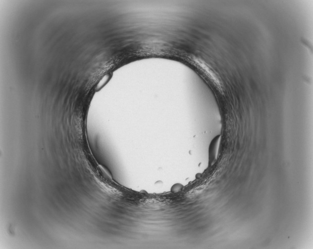 X0000094930489200712201056