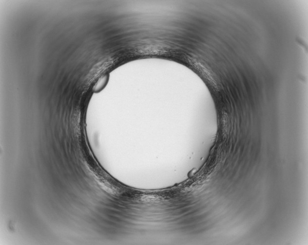 X0000094930490200712201056