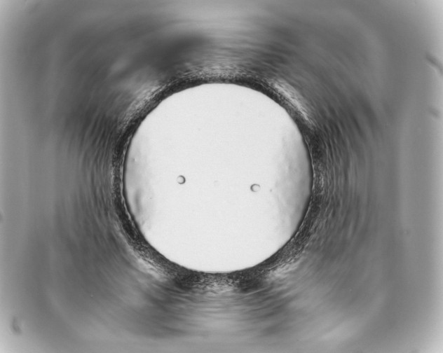 X0000094930491200712201056