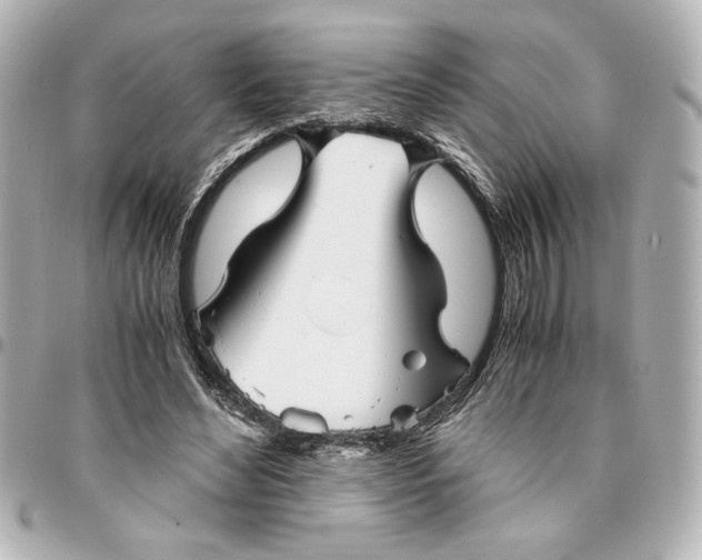 X0000094930492200712201056