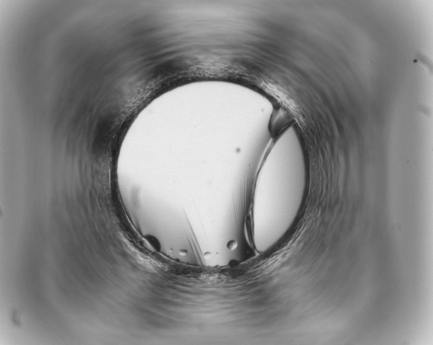 X0000094930493200712201056