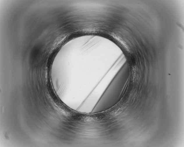 X0000094930494200712201056
