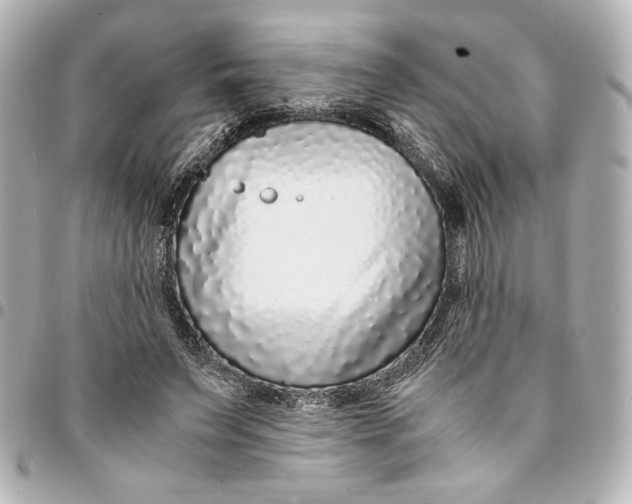 X0000094930495200712201056