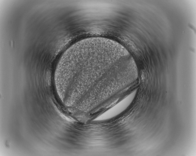 X0000094930496200712201056