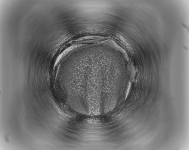 X0000094930500200712201056