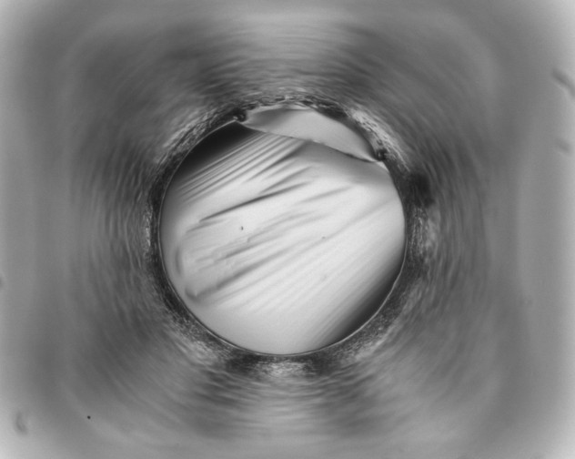 X0000094930501200712201056