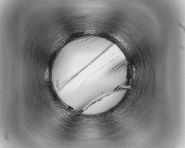 X0000094930502200712201056
