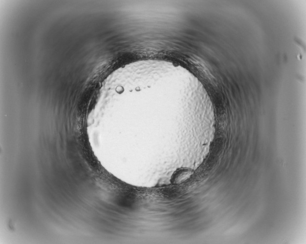 X0000094930503200712201056
