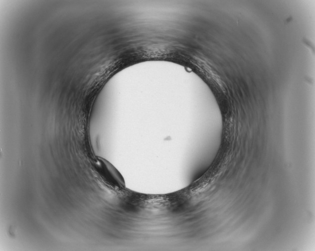 X0000094930505200712201055