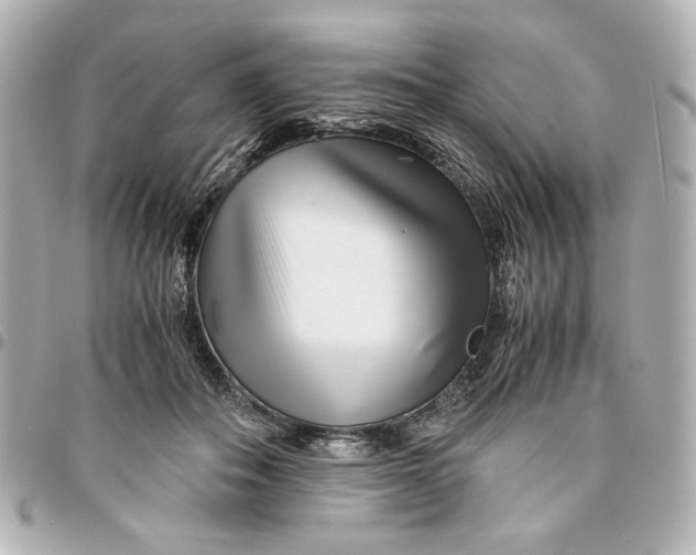 X0000094930506200712201055