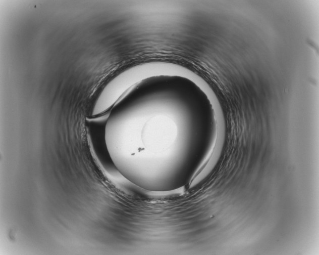 X0000094930508200712201055
