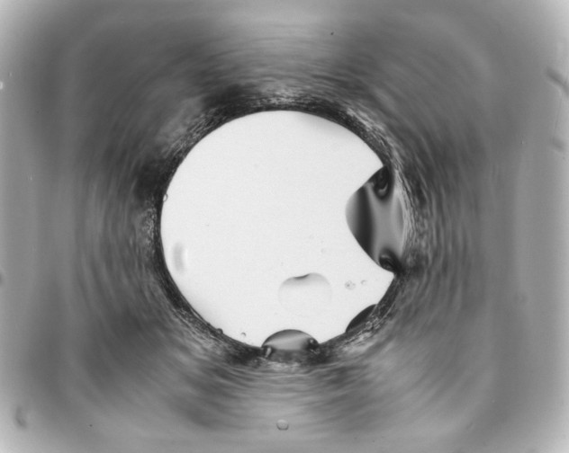 X0000094930509200712201055