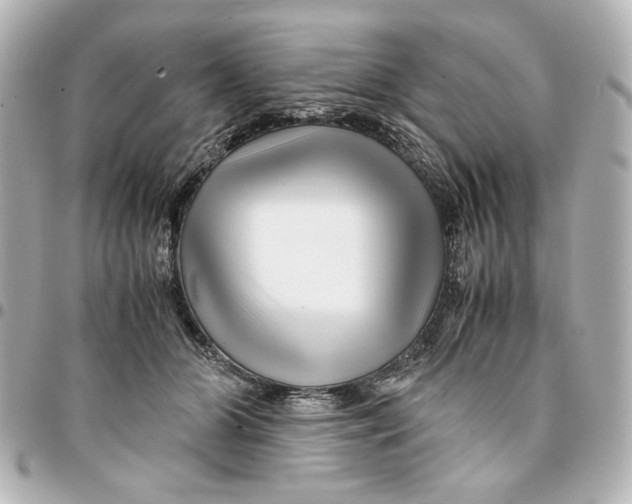 X0000094930510200712201055