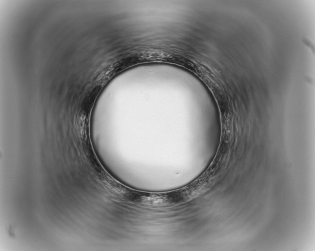 X0000094930511200712201055