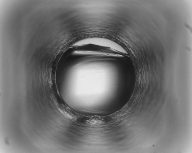 X0000094930512200712201055