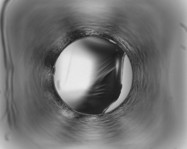 X0000094930513200712201055