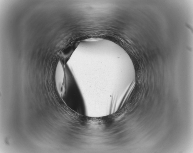 X0000094930515200712201055