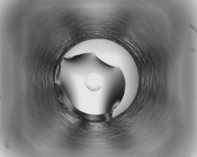 X0000094930516200712201055