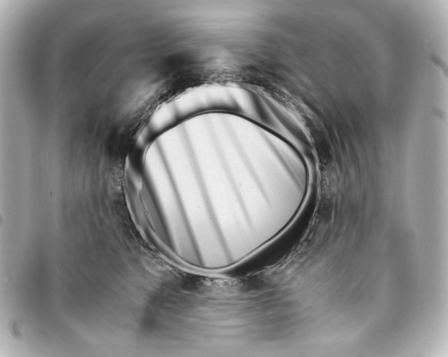 X0000094930517200712201055