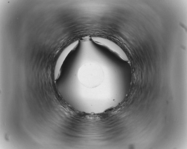 X0000094930520200712201055