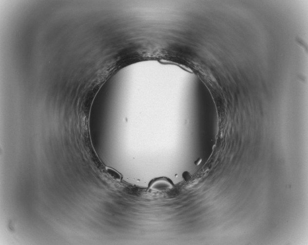 X0000094930521200712201055