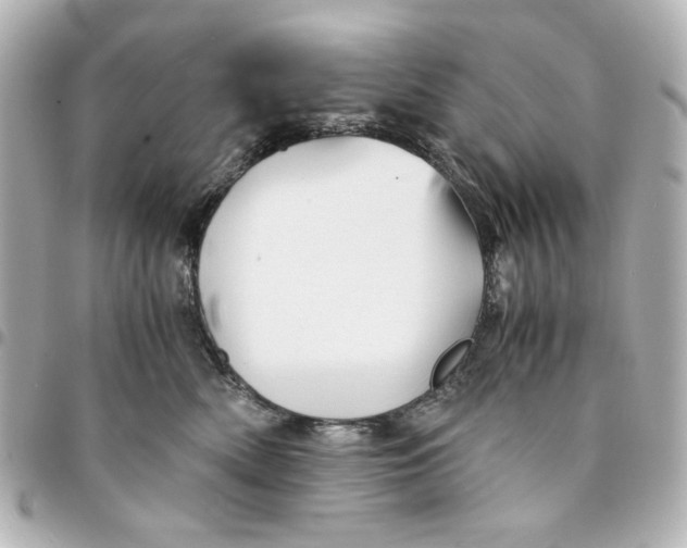 X0000094930522200712201055