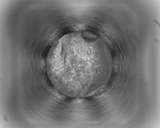 X0000094930523200712201055