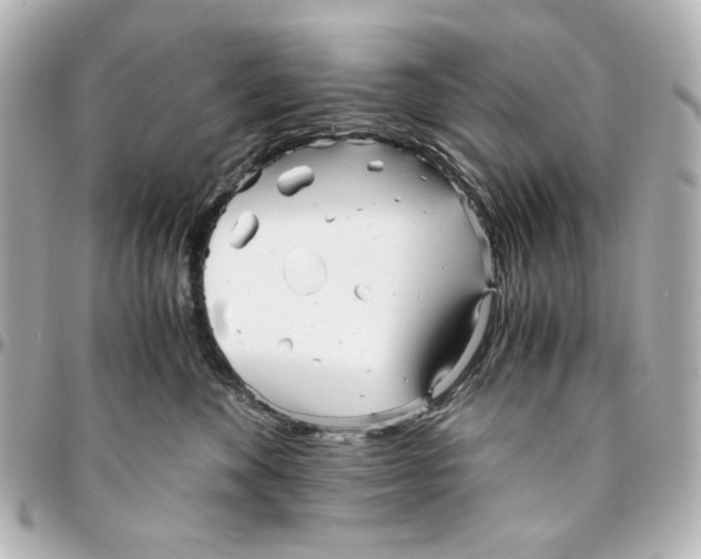 X0000094930524200712201055