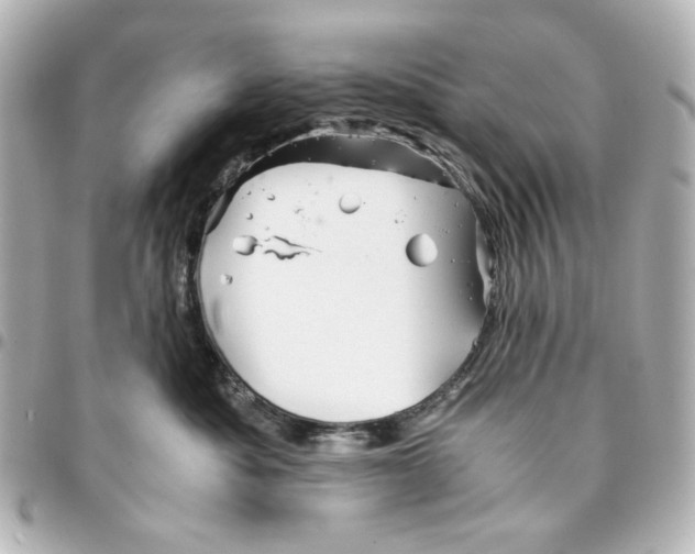 X0000094930525200712201055