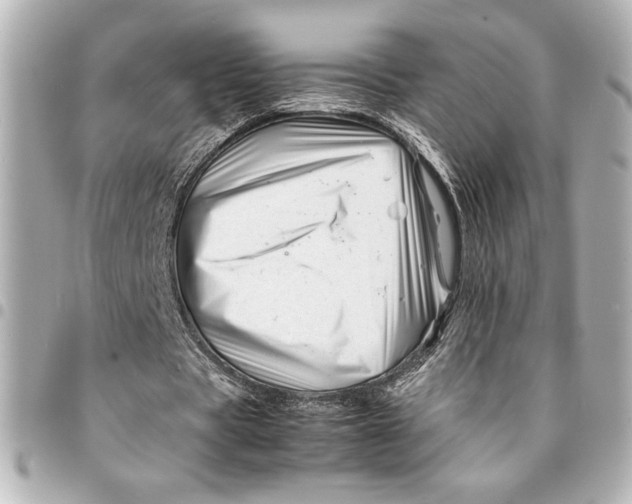 X0000094930529200712201055