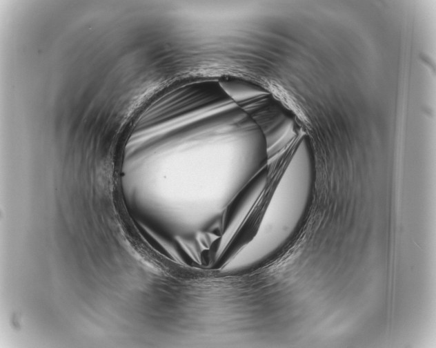 X0000094930530200712201055