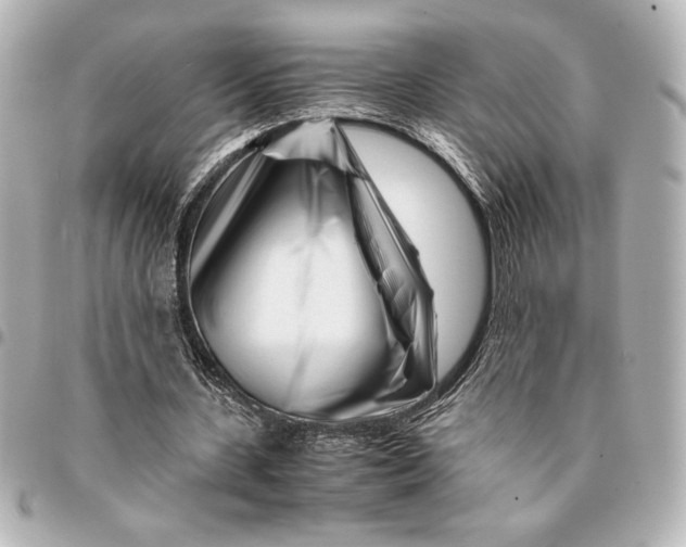 X0000094930531200712201055