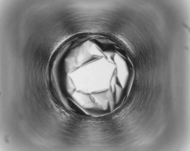 X0000094930532200712201055