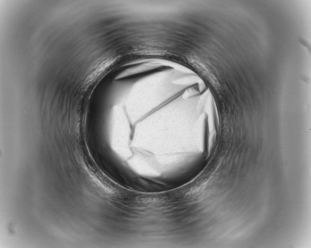 X0000094930533200712201055